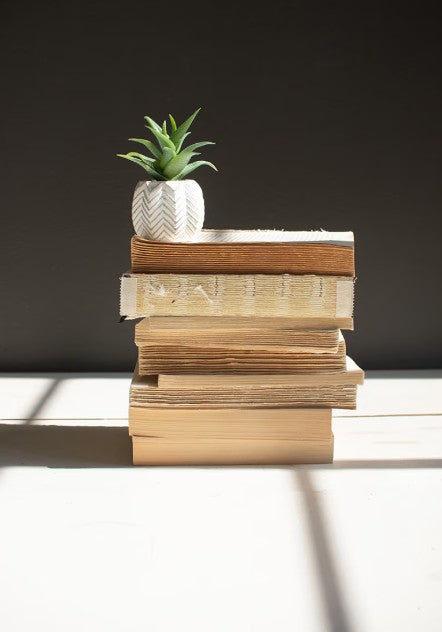 Repurposed Book Bundles