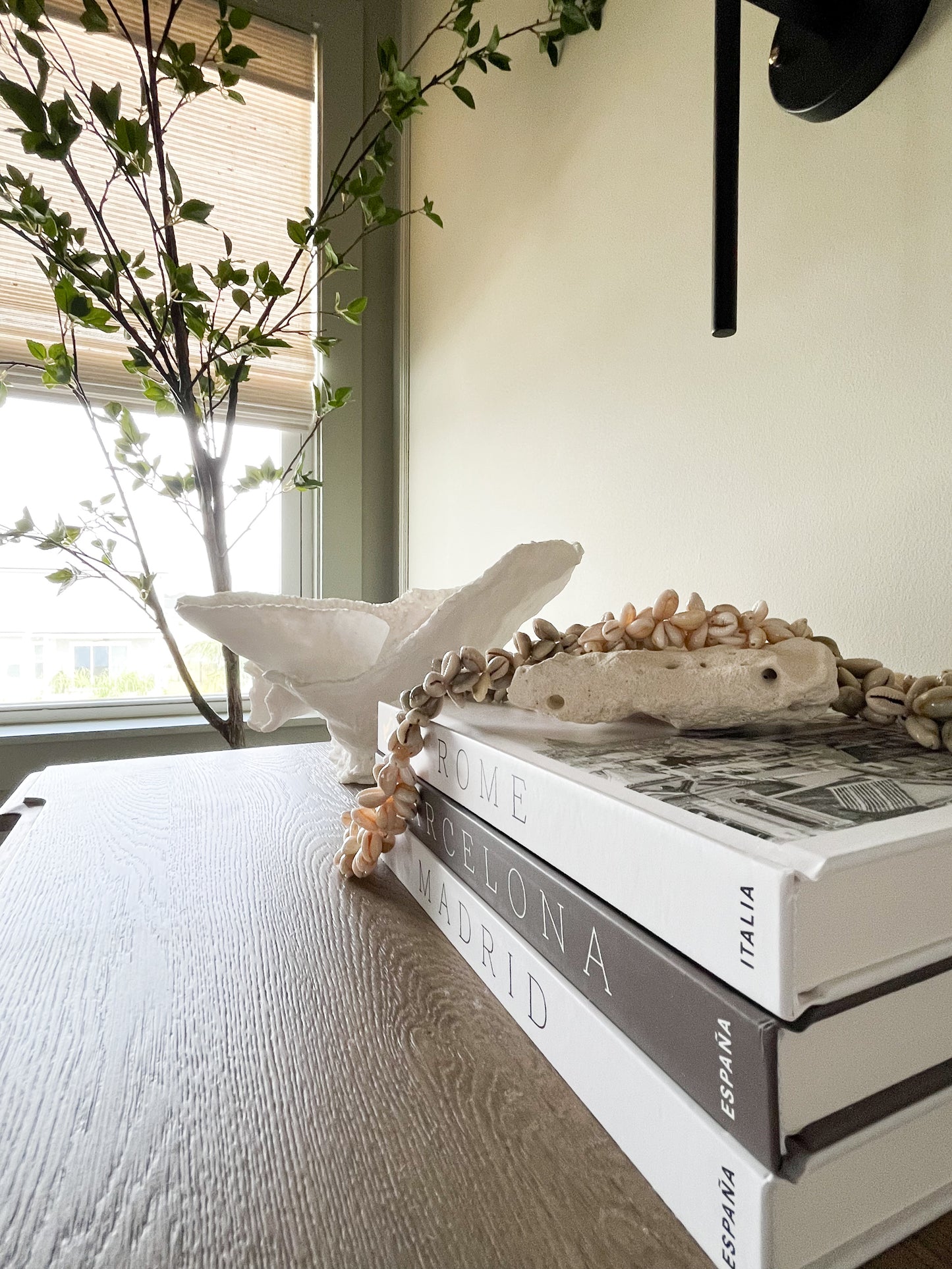 Sanibel Shell Stand