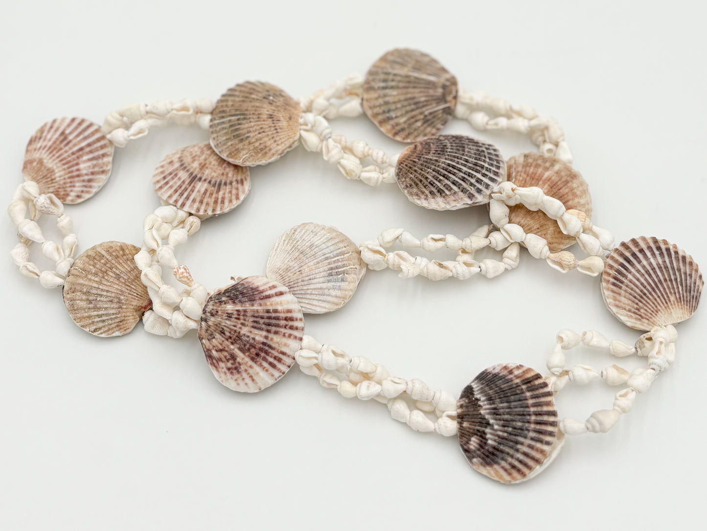 Vero Shell Strand