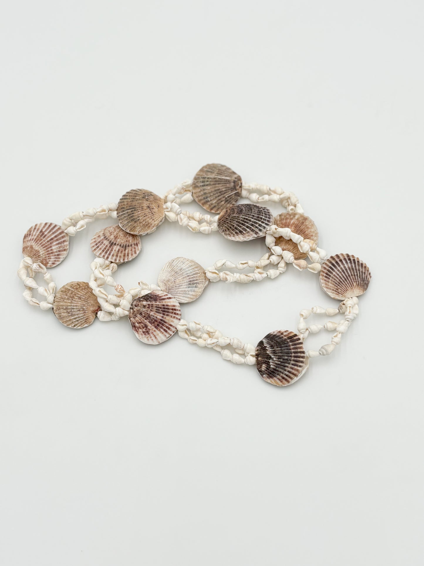 Vero Shell Strand