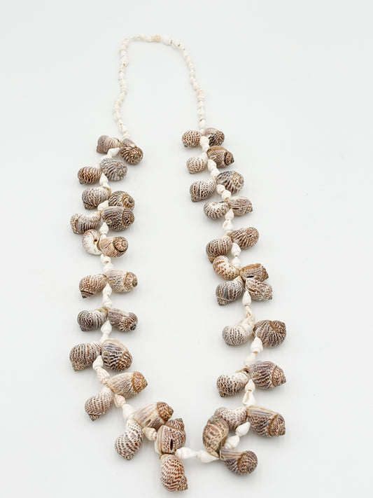 Captiva Shell Strand