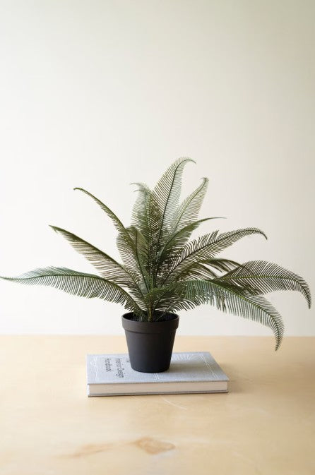 Artificial Phoenix Plant in a Black Plastic Pot