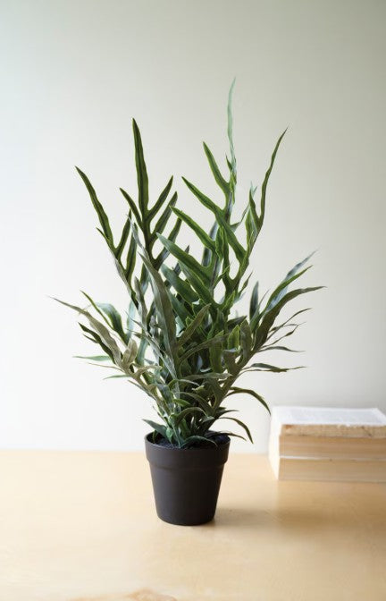 Artificial Fern in a Black Plastic Pot