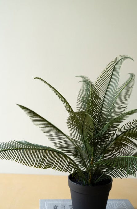 Artificial Phoenix Plant in a Black Plastic Pot