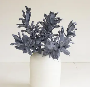 Blue Botanica