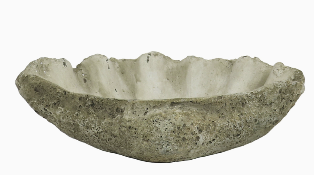 Cast Concrete Clam Shell