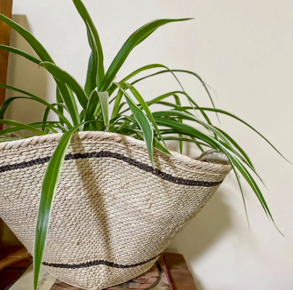 Striped and Waved Palm Leaf Dancing Basket