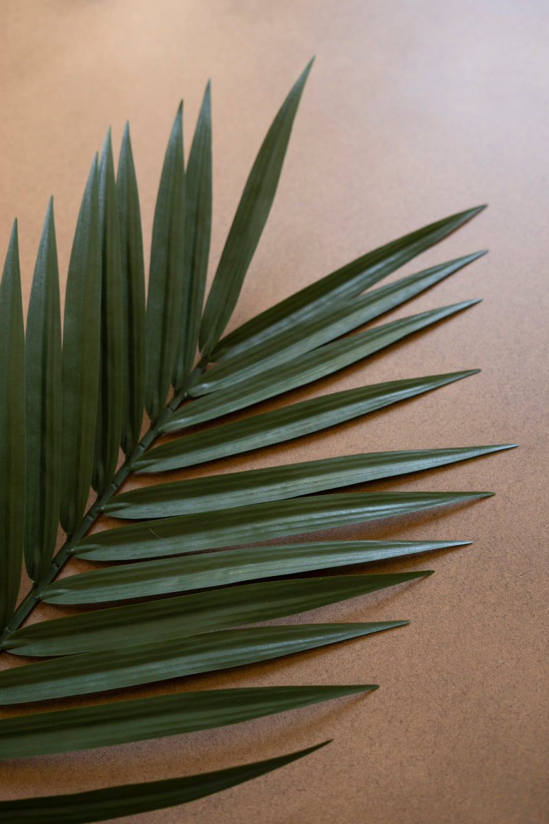 Artificial Palm Frond