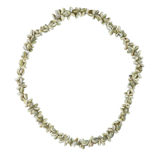Sanibel Shell Stand