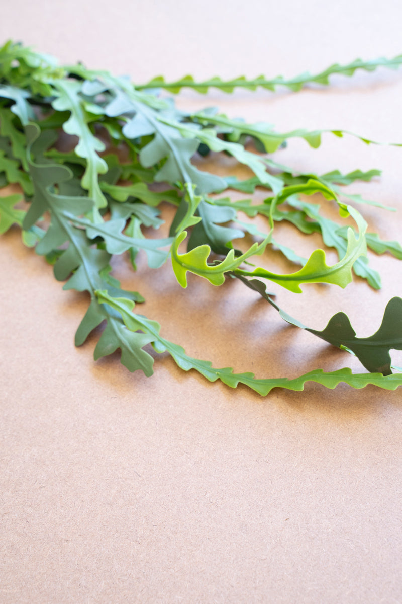 Artificial Fern Stem