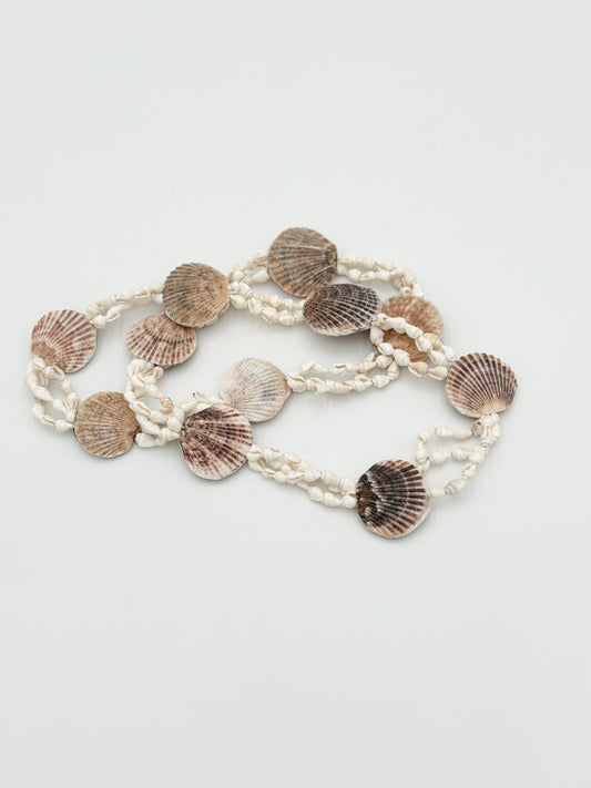 Vero Shell Strand