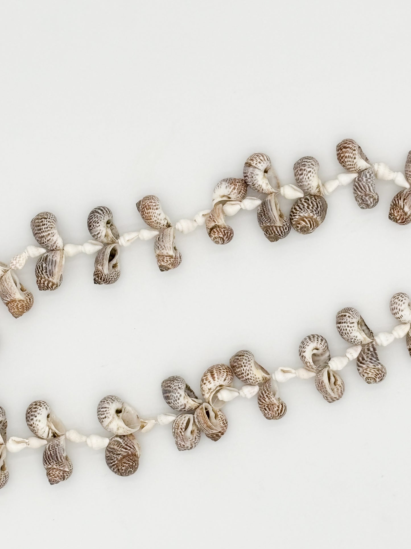 Captiva Shell Strand