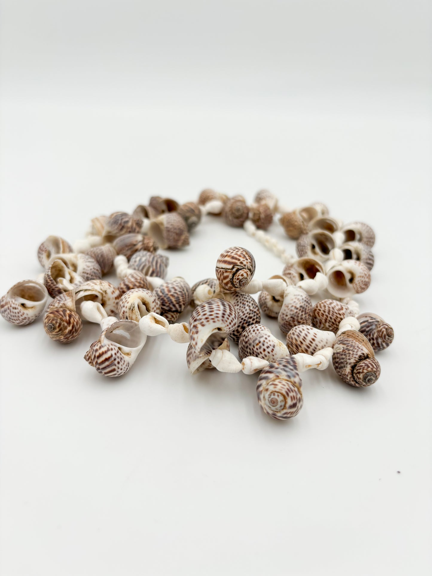 Captiva Shell Strand