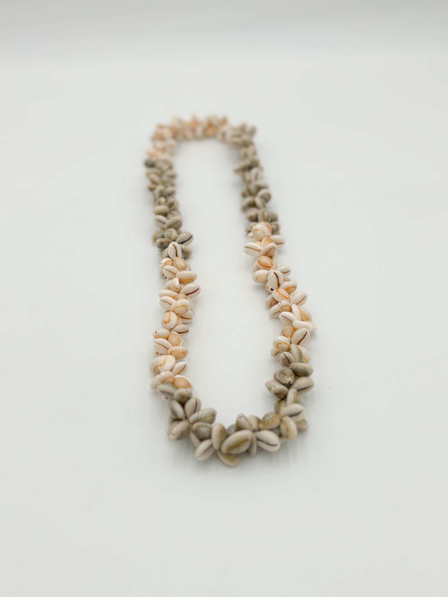 Sanibel Shell Stand