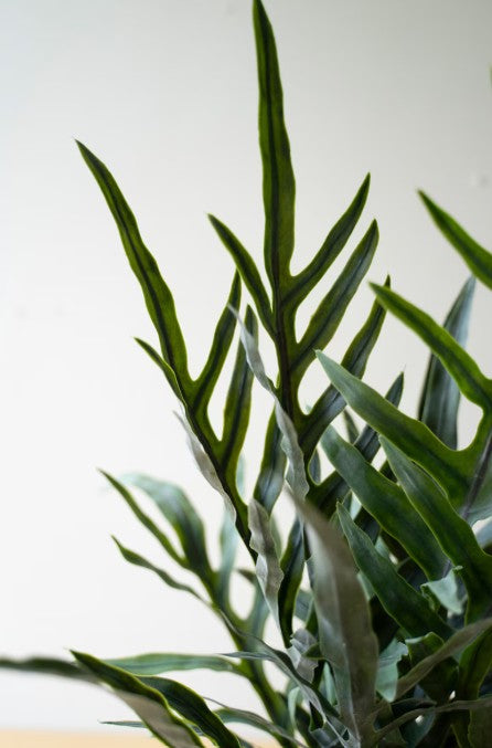 Artificial Fern in a Black Plastic Pot
