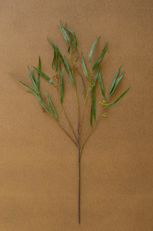 Artificial Eucalyptus Spray 29"T