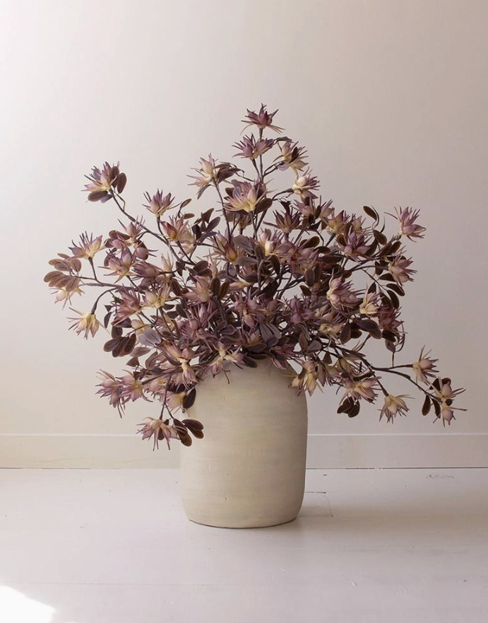 Mauve/Brown Stem