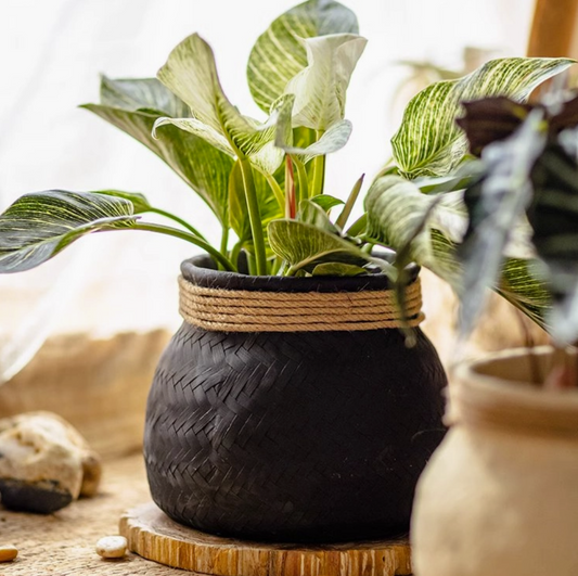 Faux Bamboo Woven Cement Planter - Black Large