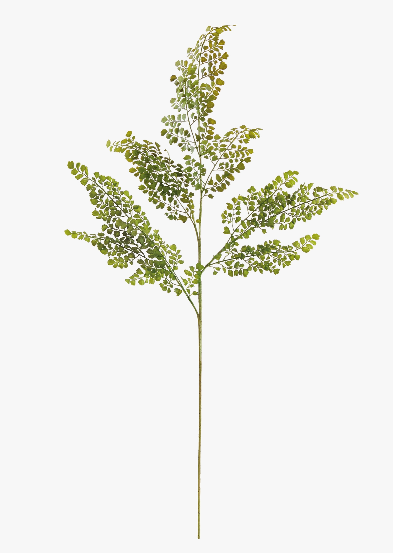 Maidenhair Faux Fern Stem