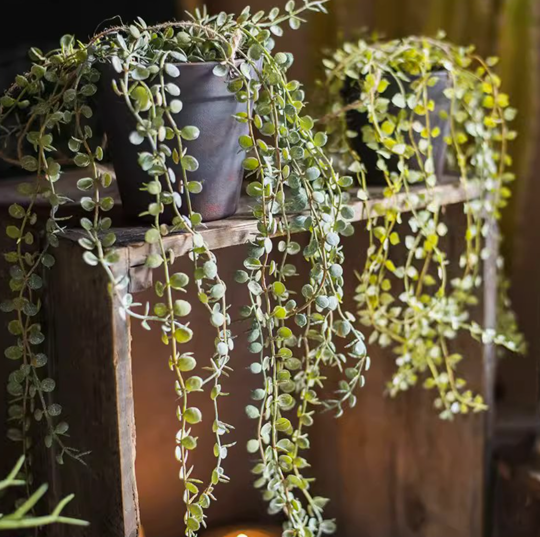 Hanging Faux Ceropegia Vine in Pot - Small