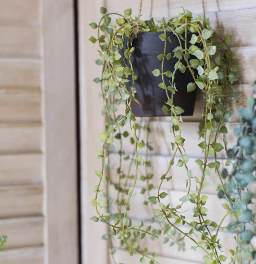 Hanging Faux Ceropegia Vine in Pot - Small