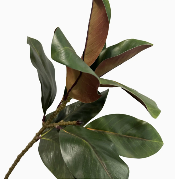42" Elegant Extra Long Realistic Magnolia-17 Large Leaves